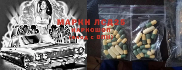 прущие грибы Сафоново
